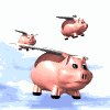 pig_group_fly_msky.gif