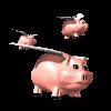 pig_group_fly_mc.gif