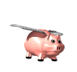 pig_fly_mw.gif