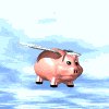 pig_fly_msky.gif