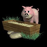pig_eating_lc.gif