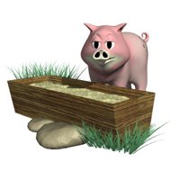 pig_eating_hr.jpg