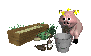 pig_drinking_sc.gif