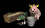 pig_drinking_sb.gif