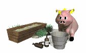 pig_drinking_lw.gif