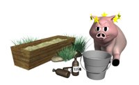 pig_drinking_hr.jpg