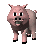 pig_blinking_tc.gif