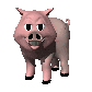 pig_blinking_sc.gif