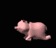 fly_landing_on_pig_bo_a_tb.gif