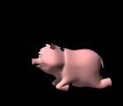fly_landing_on_pig_bo_a_mc.gif