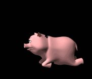 fly_landing_on_pig_bo_a_lc.gif