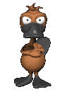 pablo_platypus_tappin_a_mc.gif