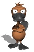pablo_platypus_tappin_a_lw.gif