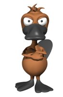 pablo_platypus_tappin_a_hr.jpg
