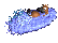 pablo_platypus_swimmc_tc.gif