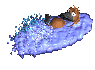 pablo_platypus_swimmc_sc.gif