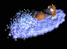 pablo_platypus_swimmc_sb.gif