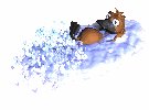 pablo_platypus_swimmc_mw.gif