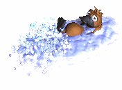 pablo_platypus_swimmc_lw.gif