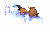 pablo_platypus_swimmb_tw.gif