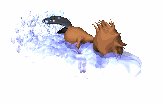 pablo_platypus_swimmb_lw.gif