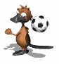 pablo_platypus_bounci_a_sw.gif