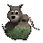 possum_on_rock_tc.gif