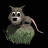 possum_on_rock_tb.gif
