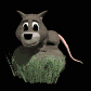 possum_on_rock_sb.gif