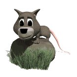 possum_on_rock_lw.gif