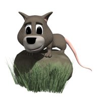possum_on_rock_hr.jpg