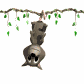 possum_hanging_sw.gif