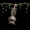 possum_hanging_mc.gif