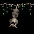 possum_hanging_mb.gif