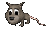 possum_blinking_tc.gif