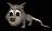 possum_blinking_tb.gif