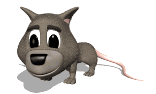 possum_blinking_lw.gif
