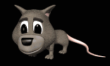 possum_blinking_lb.gif