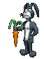 rex_rabbit_holding_ca_a_sc.gif
