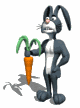rex_rabbit_holding_ca_a_mw.gif