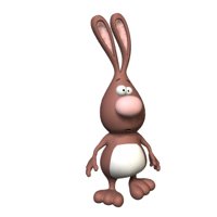 rabbit_walking_hr.jpg