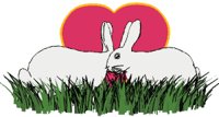 rabbit_toon_heart_lw.gif