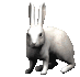 rabbit_nose_wiggle_sc.gif