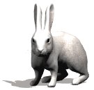 rabbit_nose_wiggle_lw.gif
