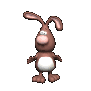 rabbit_looking_around_sc.gif