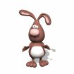 rabbit_looking_around_mw.gif