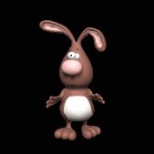 rabbit_looking_around_lb.gif