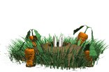 rabbit_in_hole_lw.gif
