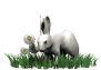 rabbit_in_grass_sw.gif