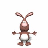 rabbit_hopping_lw.gif